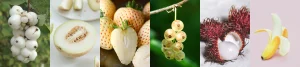 Cooking with White Fruits