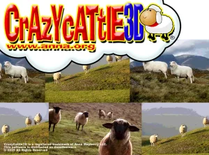 Crazy Cattle 3D Matches