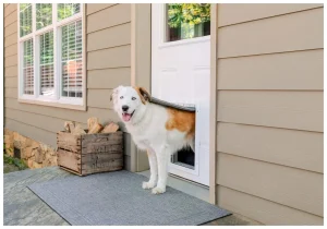 Pet Door