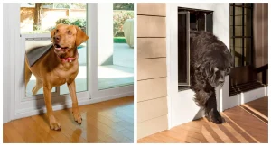 Breed Dog Doors