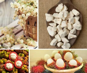 Types of White Fruits