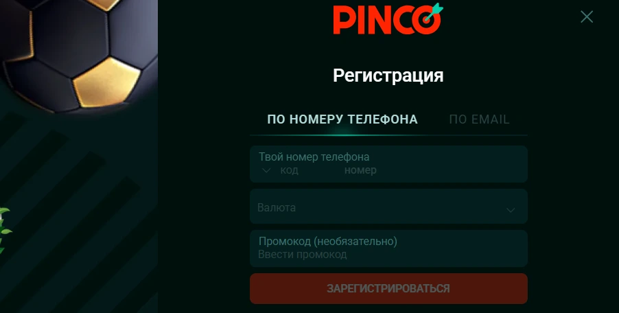 Регистрация Pinco